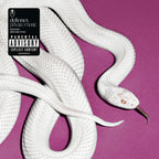 DEFTONES 'PRIVATE MUSIC' LP (Alternate Cover, Fog White Vinyl)