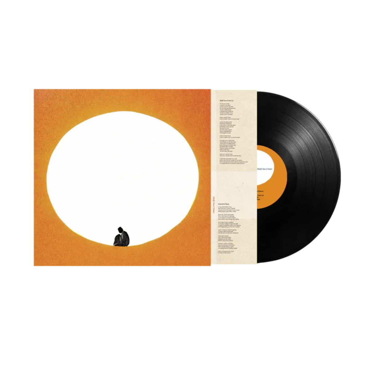 DEATH CAB FOR CUTIE 'I BUILT YOU A TOWER' LP