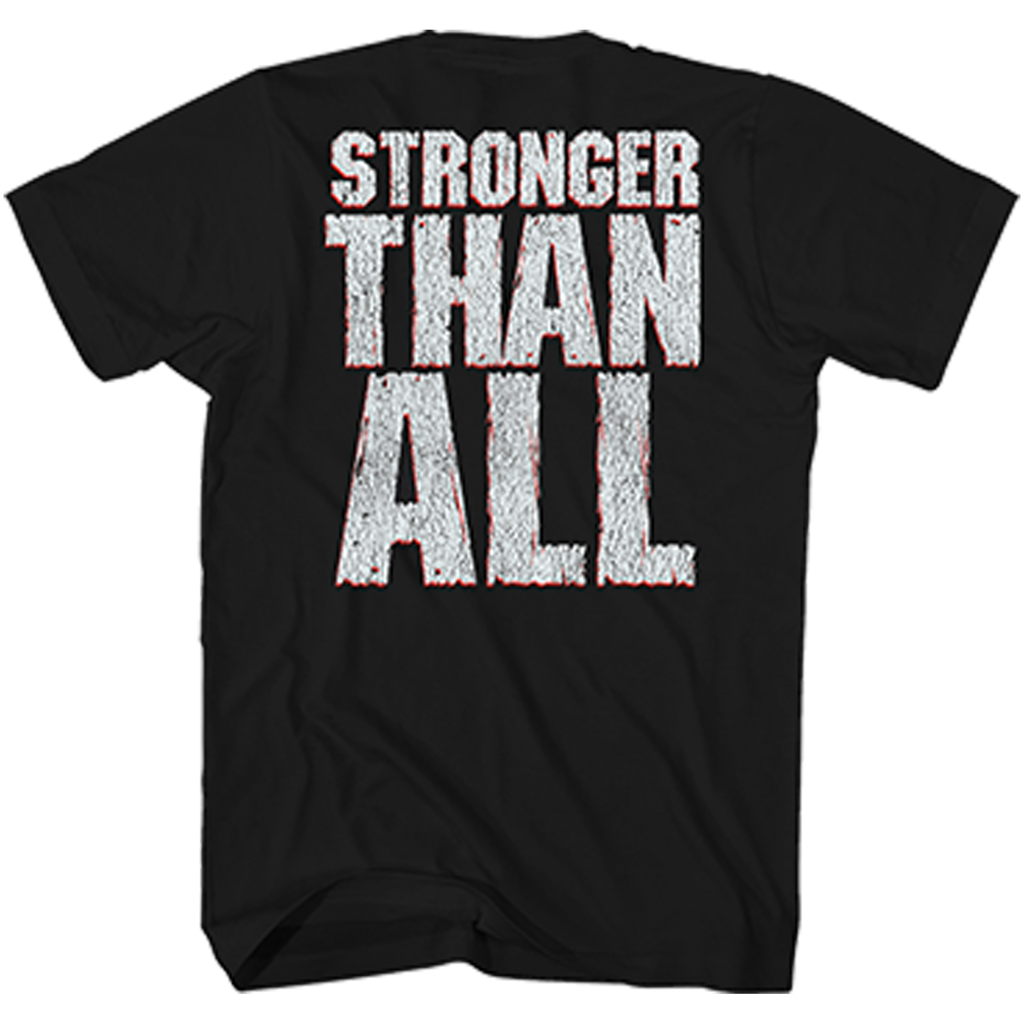 PANTERA VULGAR DISPLAY OF POWER T-SHIRT