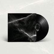 FINAL LIGHT 'FINAL LIGHT' LP