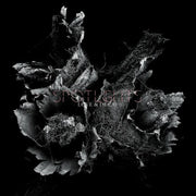 SPOTLIGHTS 'LOVE & DECAY' 2LP