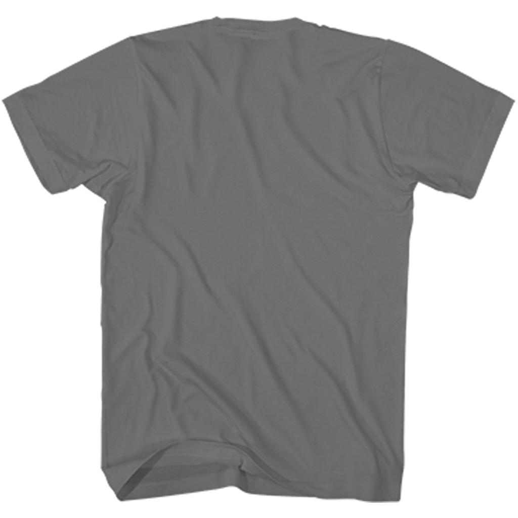 POST MALONE GRAY PHOTO  F/SL T-SHIRT