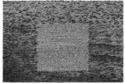 GROUPER 'GRID OF POINTS' LP
