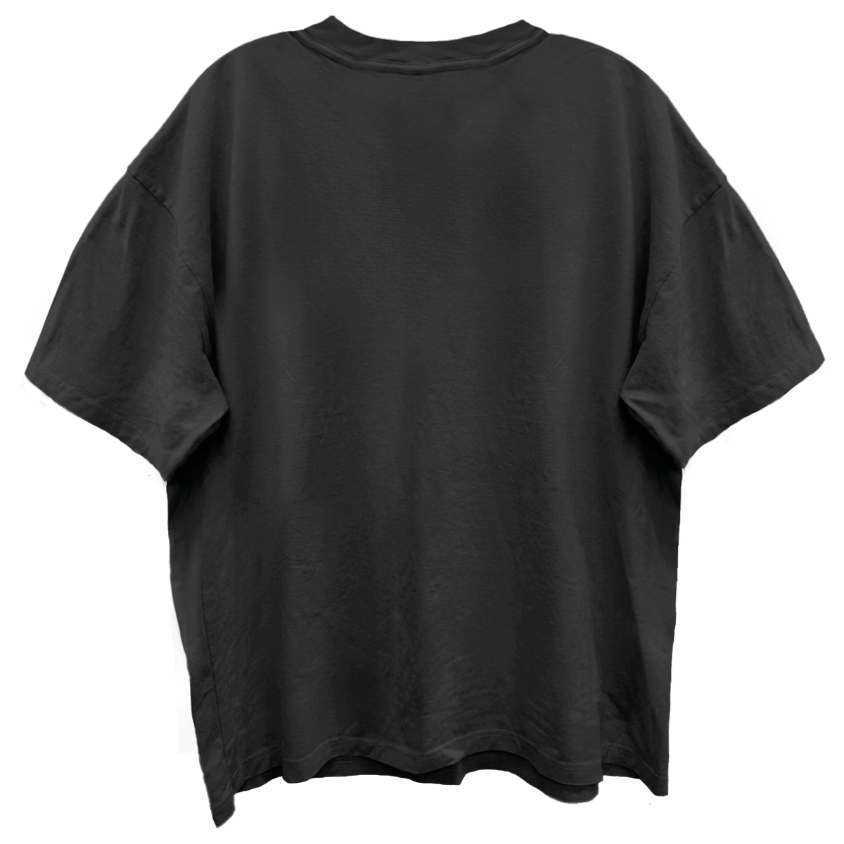 AEROSMITH GUITAR WINGS VINTAGE BLACK ENZYME WASH T-SHIRT/GIANT VINTAGE T-SHIRT