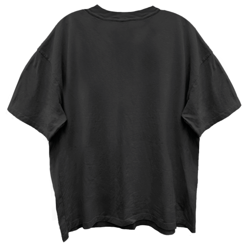 AEROSMITH GUITAR WINGS VINTAGE BLACK ENZYME WASH T-SHIRT/GIANT VINTAGE T-SHIRT