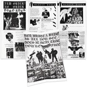 REAGAN YOUTH 'YOUTH ANTHEMS FOR THE NEW ORDER' LP (Color Vinyl)