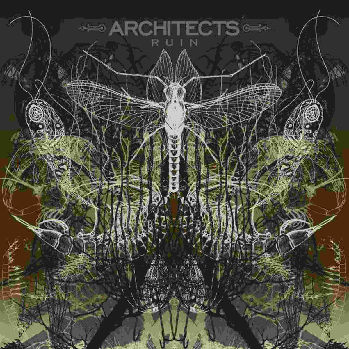 ARCHITECTS ‘RUIN' LP