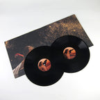 JOANNA NEWSOM 'DIVERS' 2LP