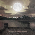 DAYSEEKER 'ORIGIN' LP