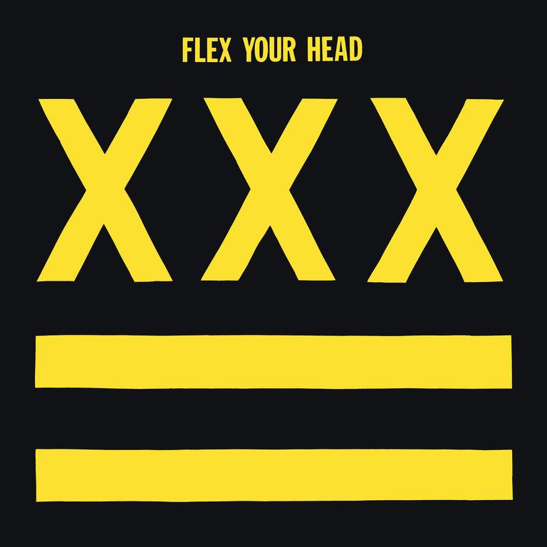 FLEX YOUR HEAD LP (Yellow Vinyl, Featuring Teen Idles, Untouchables, SOA, Minor Threat & more)