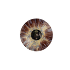 FIRES IN THE DISTANCE 'CIRCADIAN PROMISE' LP (Custard & Bone Vinyl)