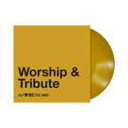 GLASSJAW ‘THE DELUXE PLAYABLE COLLECTION’ (GOLD VINYL + HARDCOVER BOOK)