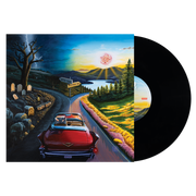 HAYWIRE 617 ‘I DON'T WANNA SAY GOODBYE’ LP (Black Vinyl)