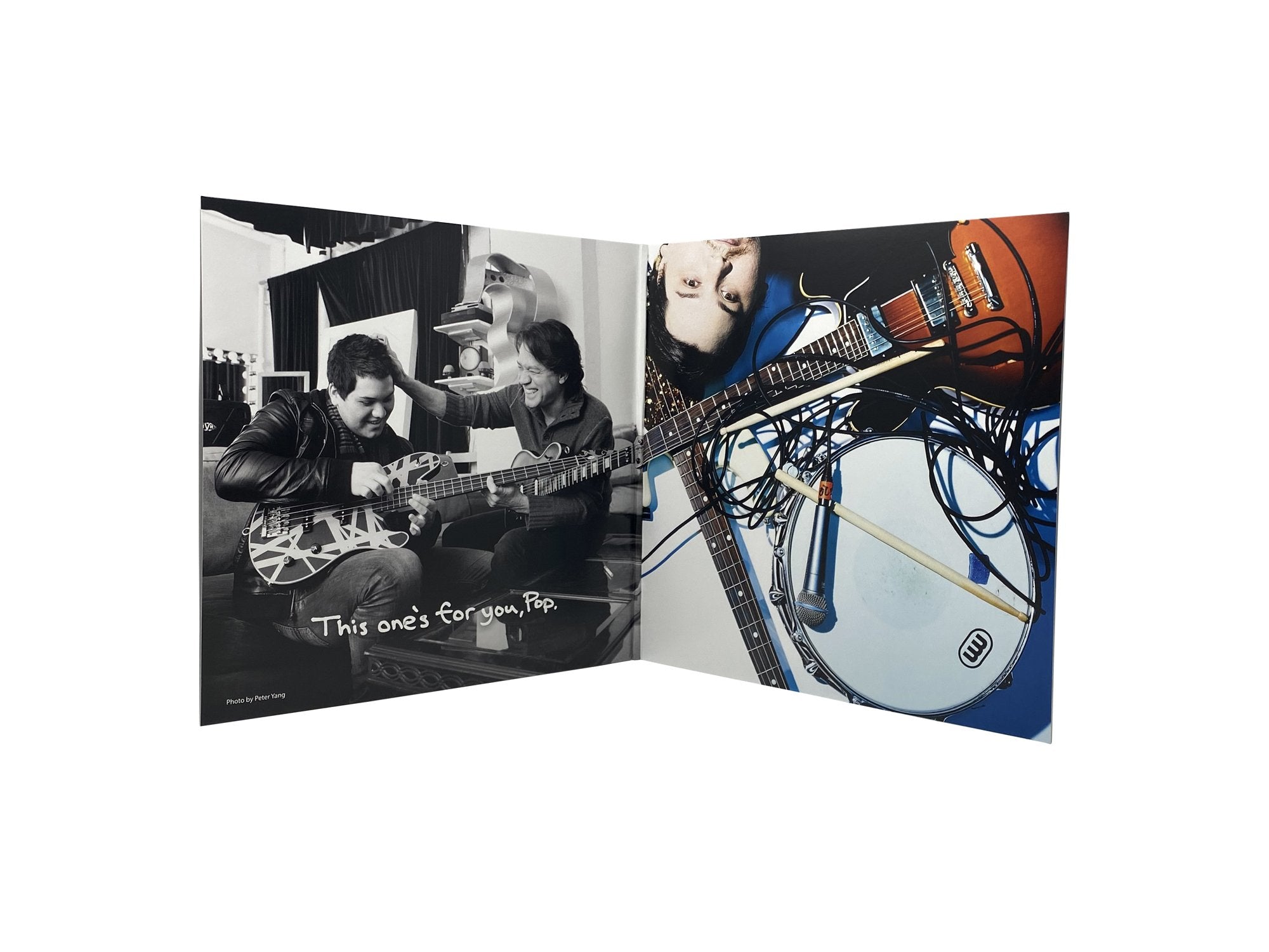 MAMMOTH 'MAMMOTH WVH' LP (Black Ice Vinyl)