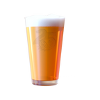 KILLSWITCH ENGAGE LIMITED EDITION EXCLUSIVE PINT GLASS SET