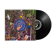 DAWES 'GOOD LUCK WITH WHATEVER' LP (Black Vinyl)