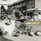 BILLY BRAGG & WILCO 'MERMAID AVENUE VOL. II' 2LP