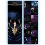 TOOL 'FEAR INOCULUM' 3LP