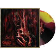 CARNIFEX ‘MORE THAN MISERY’ LP (Exclusive – Limited to 100, Yellow, Magenta, & Black A-Side/B-Side Vinyl)