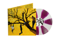 FIDDLEHEAD ‘DEATH IS NOTHING TO US’ LP (Limited Edition – Only 500 Made, Clear & Violet Pinwheel Vinyl)