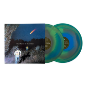 THE CALLOUS DAOBOYS 'I DON'T WANT TO SEE YOU IN HEAVEN' 2LP (Seattle Vinyl)