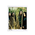 TYPE O NEGATIVE 11x14 PHOTO PRINT BY JOSEPH CULTICE - LIMITED TO 50