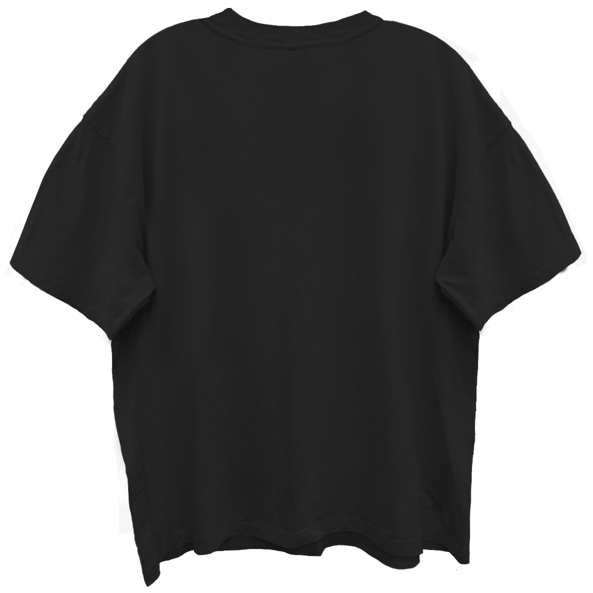 JANES ADDICTION BURNING LADY LIMO BLACK ENZYME WASH T-SHIRT/GIANT VINTAGE T-SHIRT