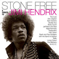 JIMI HENDRIX 'STONE FREE: JIMI HENDRIX TRIBUTE' LP (Clear & Black Vinyl)