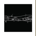 AMENRA 'DE DOORN' 2LP LIMITED-EDITION (Translucent Gold Vinyl)