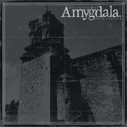AMYGDALA 'OUR VOICES WILL SOAR FOREVER' CD