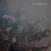 AN AUTUMN FOR CRIPPLED CHILDREN 'ALL FELL SILENT, EVERYTHING WENT QUIET' CD