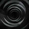 CULT OF LUNA 'IN THE SHADOW OF YOUR SHADOW' 2LP