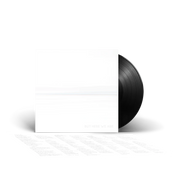 FOO FIGHTERS 'BUT HERE WE ARE' LP (Black Vinyl)