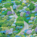 FIDDLEHEAD 'BETWEEN THE RICHNESS' LP (Blue & Clear Moon Phase Vinyl)