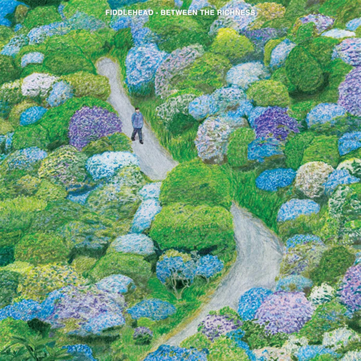 FIDDLEHEAD 'BETWEEN THE RICHNESS' LP (Blue & Clear Moon Phase Vinyl)