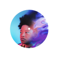 AMYTHYST KIAH "WARY + STRANGE" SLIPMAT